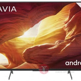 LED49" Sony KD-49XH8596 Жидкокристаллический телевизор